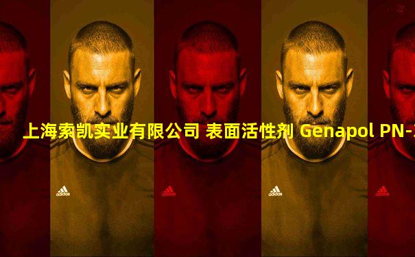 上海索凯实业有限公司 表面活性剂 Genapol PN-30